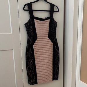 JAX Women’s Cocktail Party Dress, Lace Bodycon Style, Size 12, Great Condition!